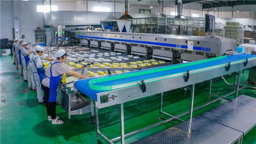 從婷婷農副產品產銷模式,窺見海安禽蛋養(yǎng)殖一體化的奧秘